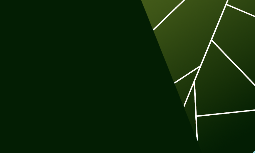 Women in Project Management